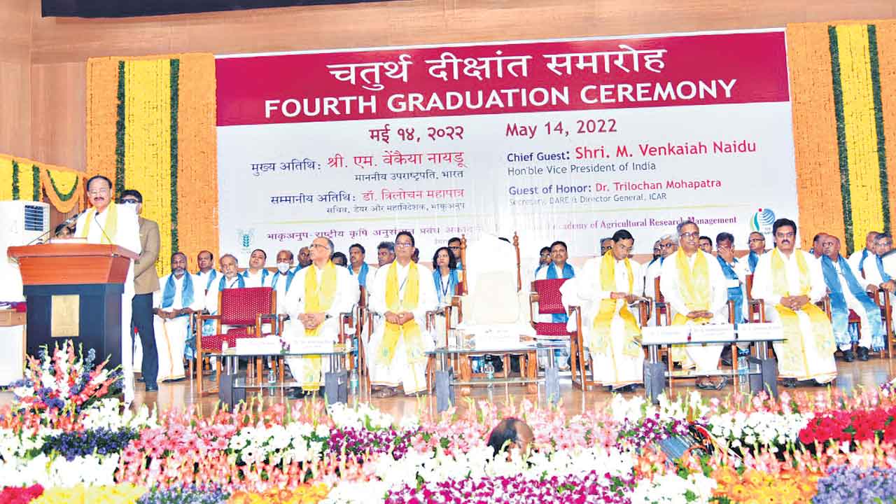 సాగు వైపే సాగాలి