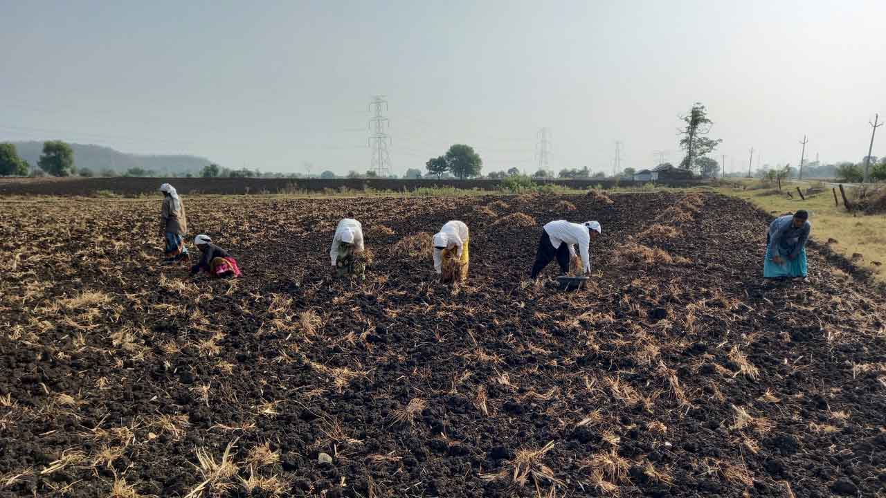 ‘వానకాలం’పనులు ముమ్మరం