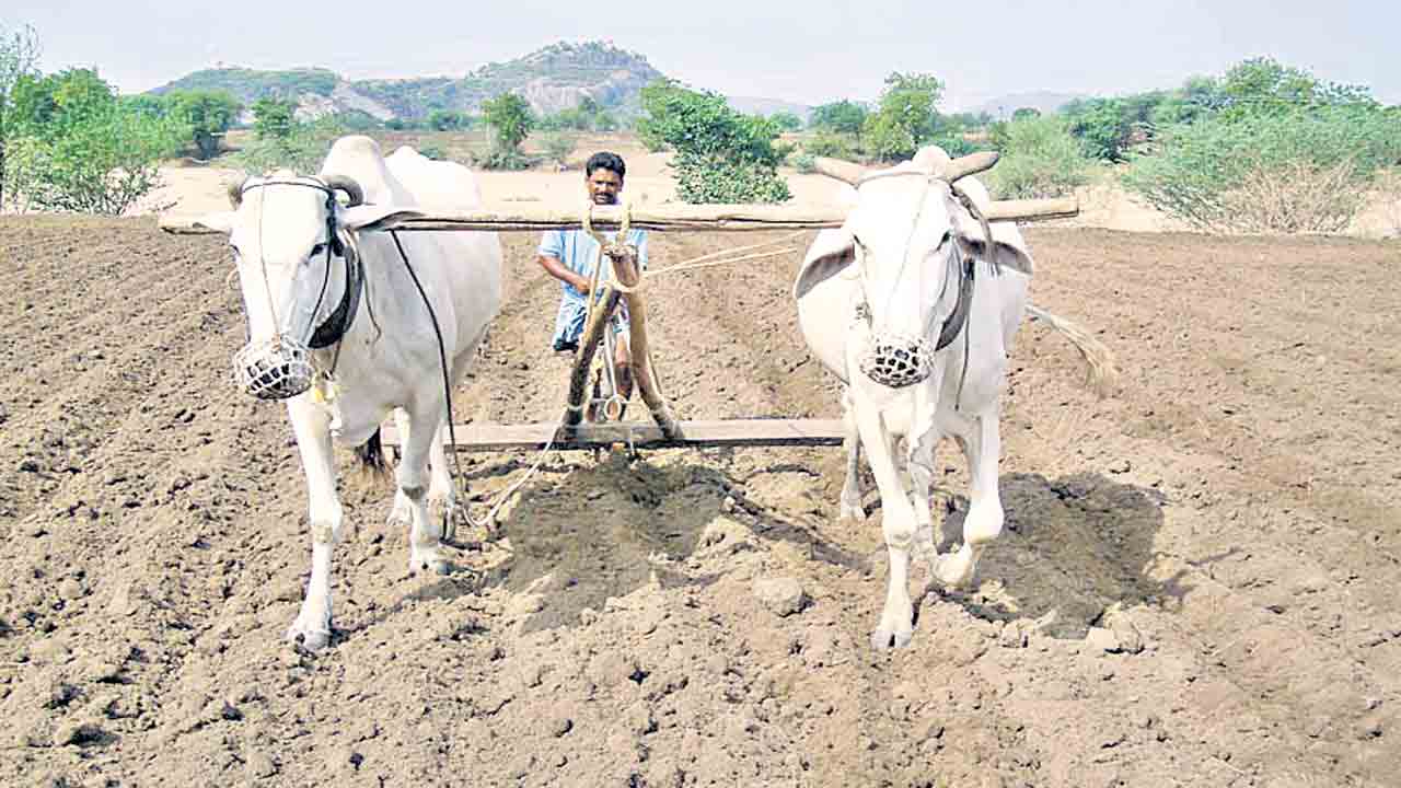 సాగు ప్రణాళిక సిద్ధం