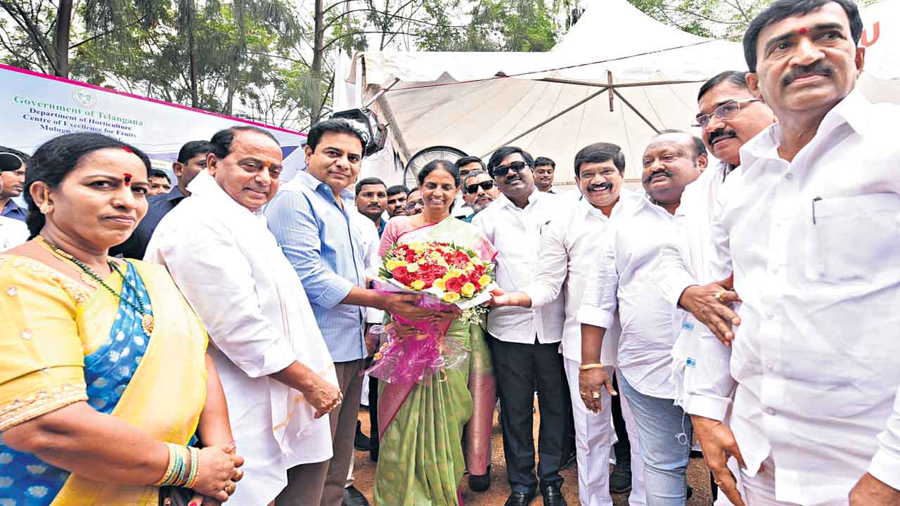 పండుగలా వ్యవసాయ ప్రగతి