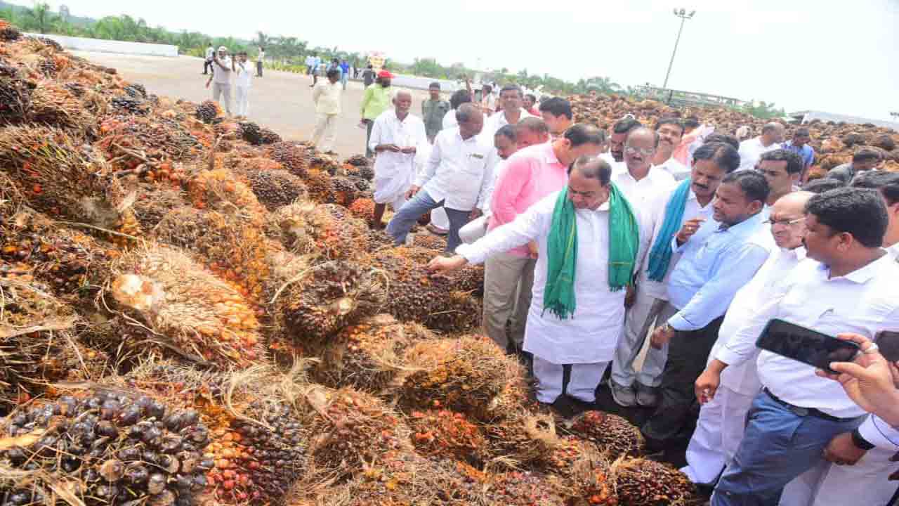 ‘ఆయిల్‌ పాం’ వైపు దృష్టి సారించాలి