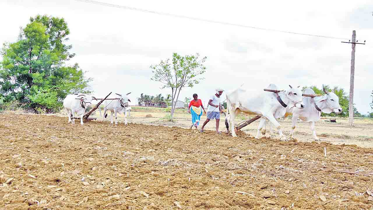 భూమికి సారం దుక్కులతో లాభం