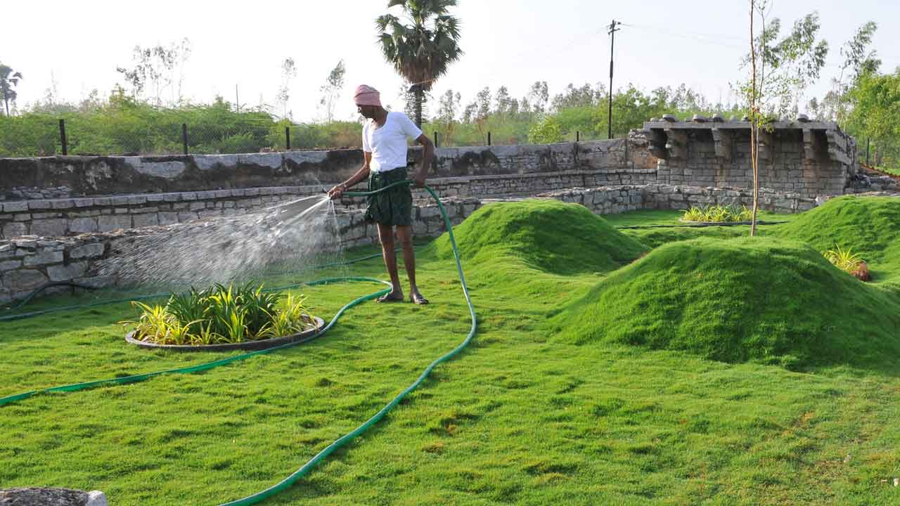 పచ్చగా.. పది కాలాలు నిలిచేలా!