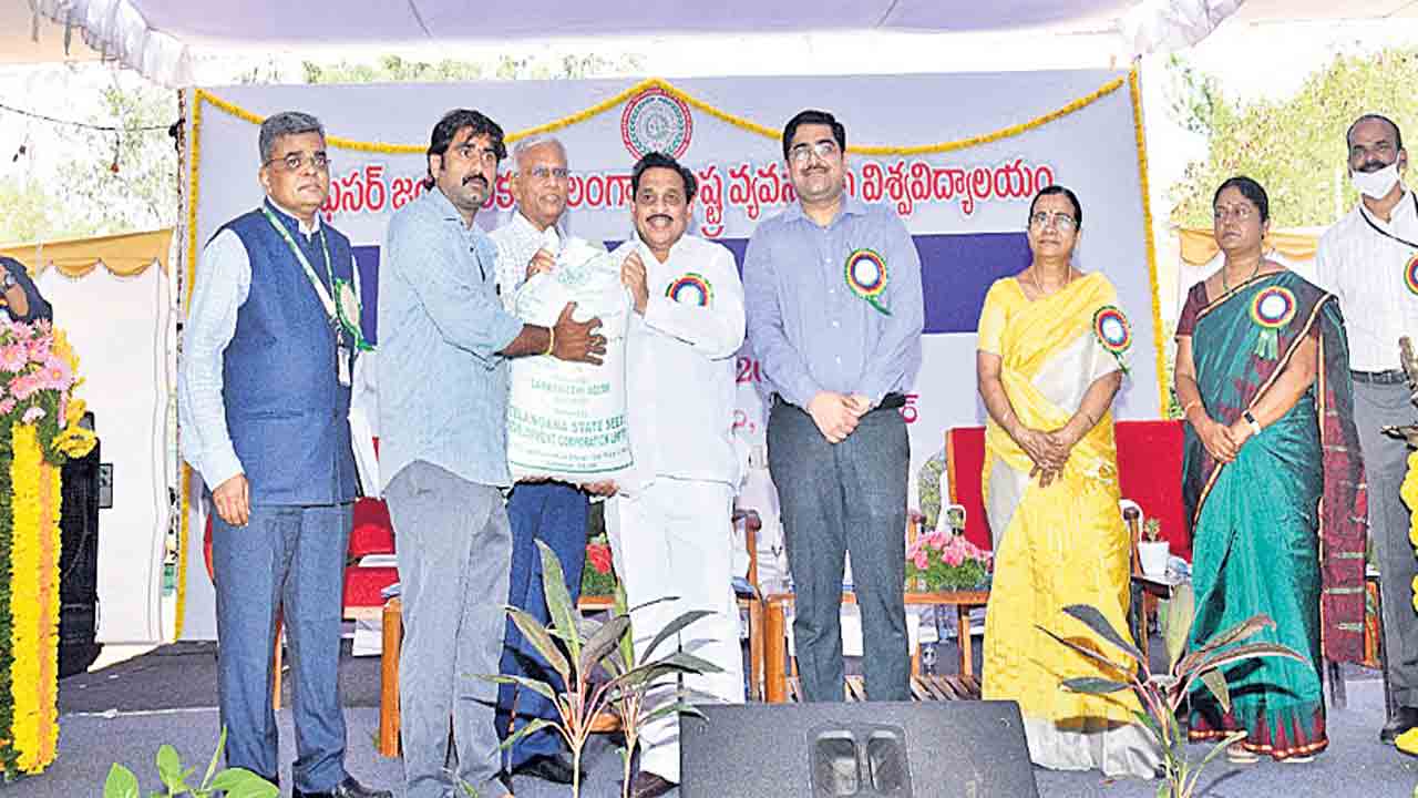 విత్తన భాండాగారం మన తెలంగాణ