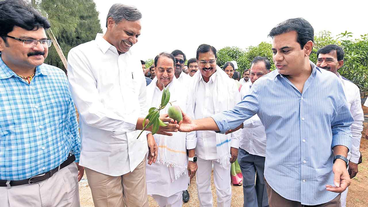 రాష్ర్టాలు దాటొచ్చిన కిటెక్స్‌