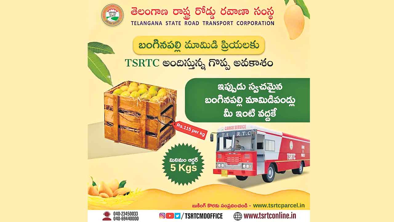 బస్సుల్లో బంగినపల్లి మామిడి