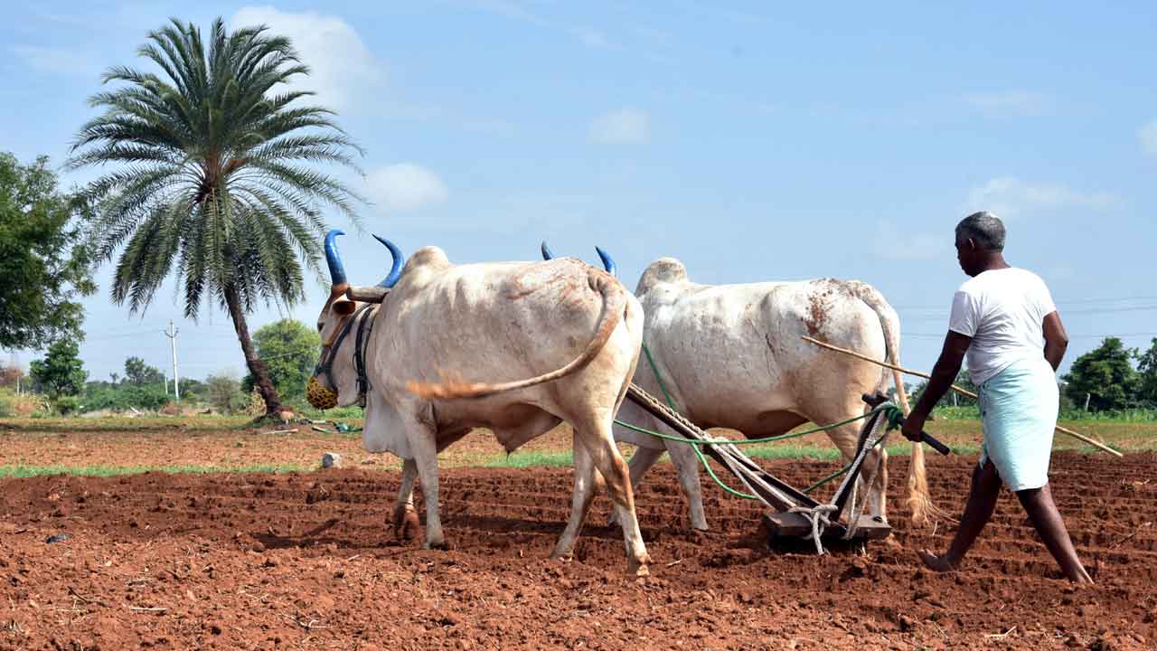 సాగు పైపైకి..