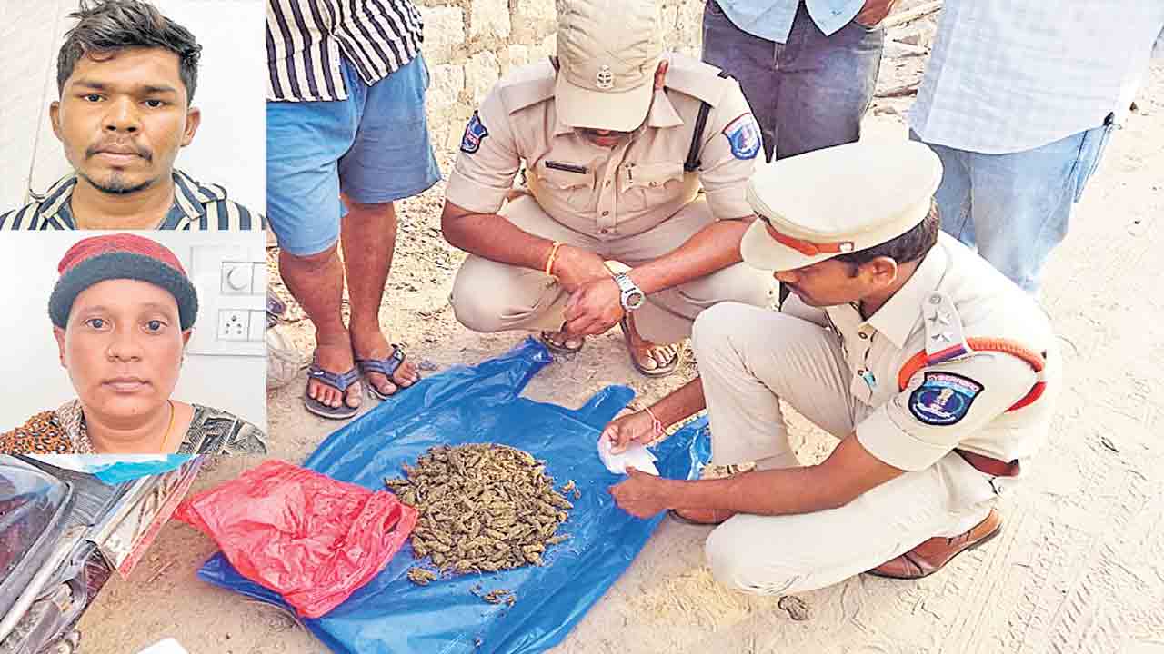 గంజాయి విక్రయిస్తున్న ఇద్దరు అరెస్టు