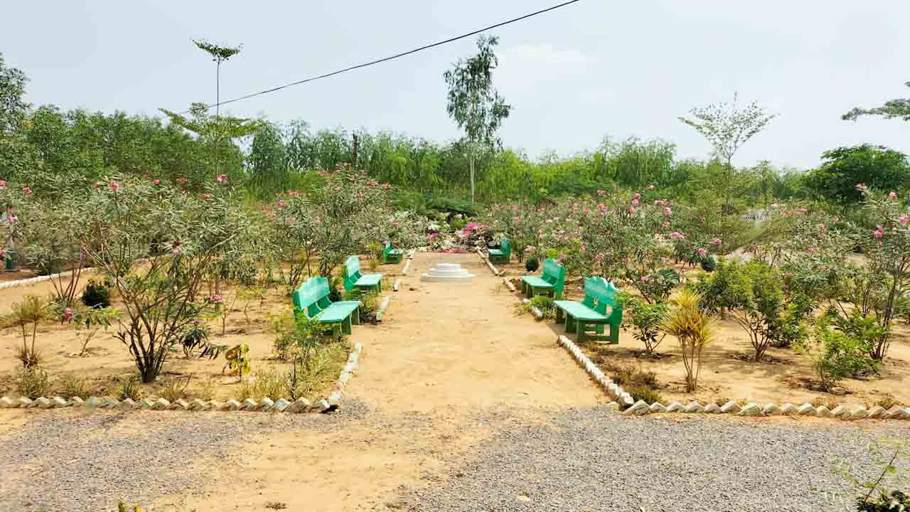 ఆకుపచ్చని తోరణాలు..పల్లె ప్రకృతి వనాలు