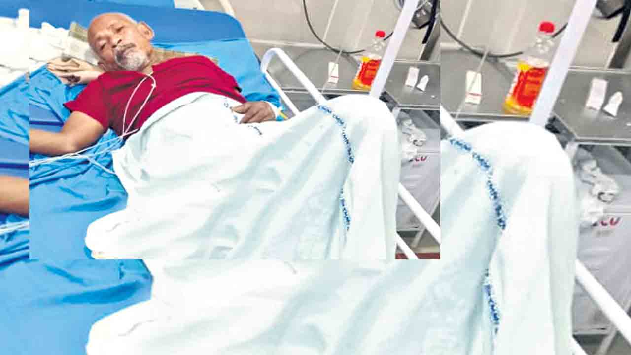 రోడ్డు ప్రమాదంలో వనజీవి రామయ్యకు గాయాలు