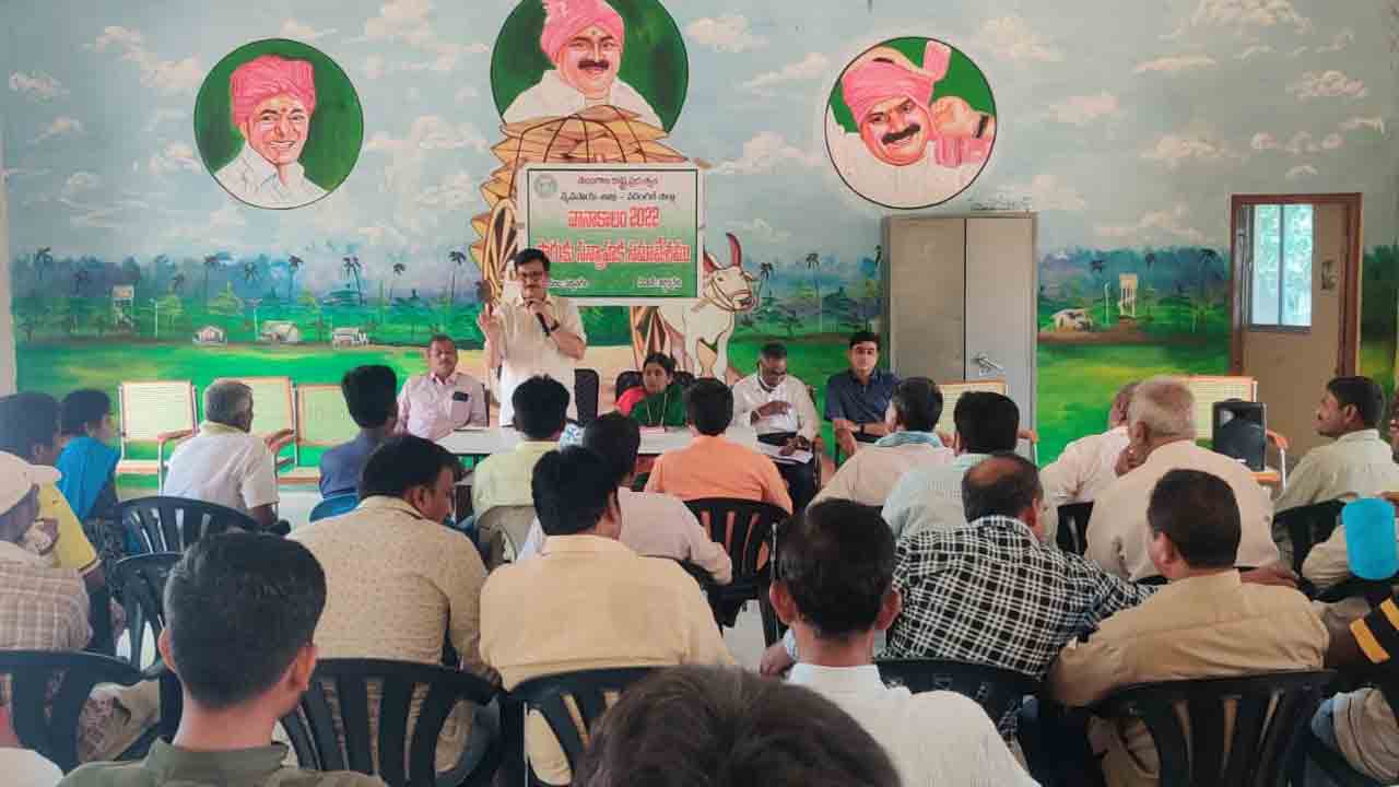 ప్రణాళికతో ముందుకు సాగితే అధిక దిగుబడులు