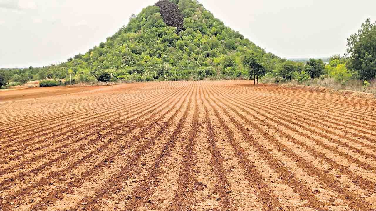 సాగుకు సమాయత్తం