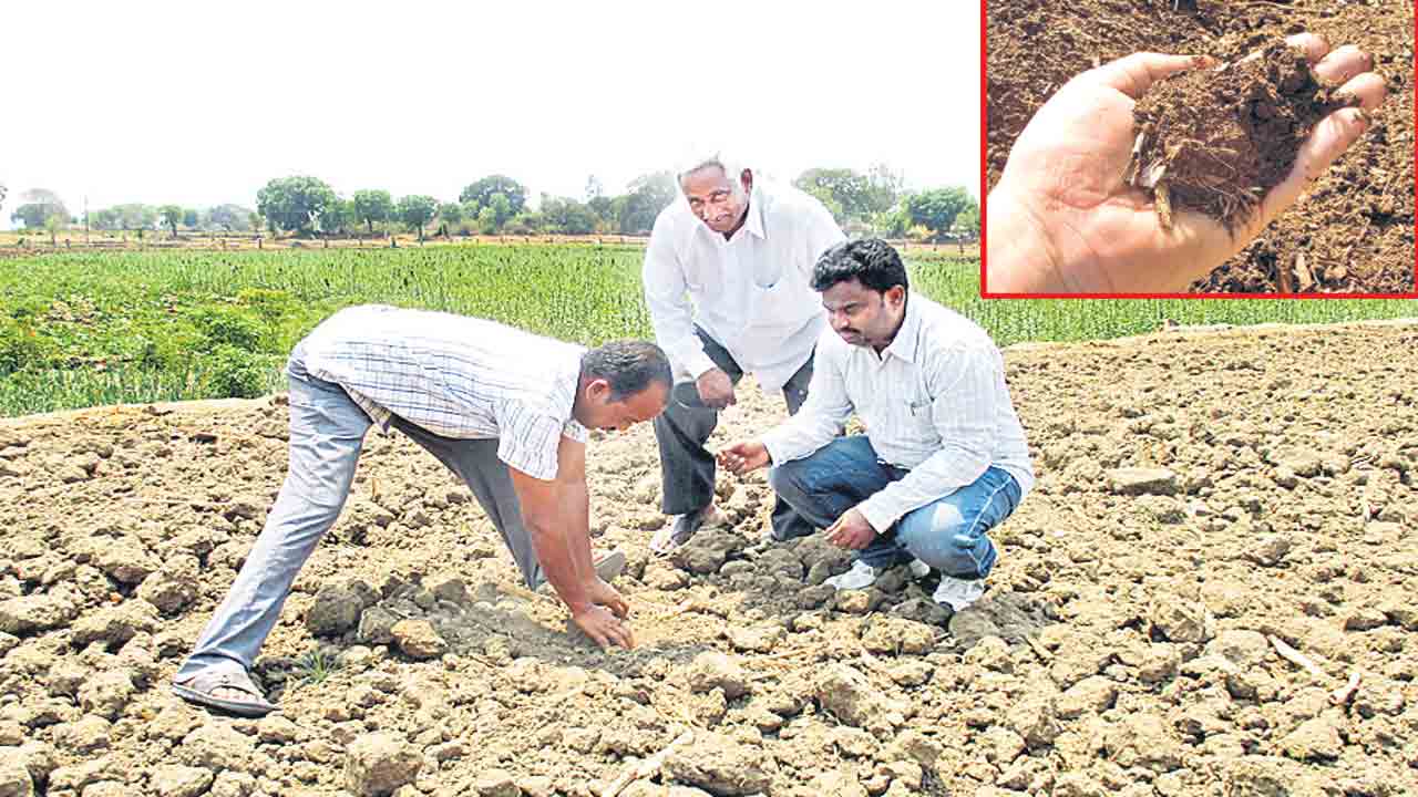 భూసార పరీక్ష.. పొలానిక రక్ష