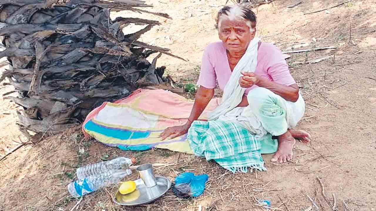 ఆస్తులు లాక్కొని అమ్మనే గెంటేశారు