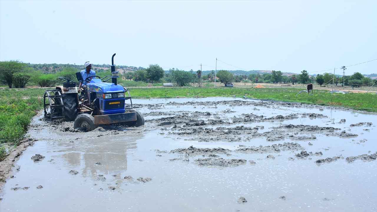 వ్యవసాయానికి సన్నాహాలు