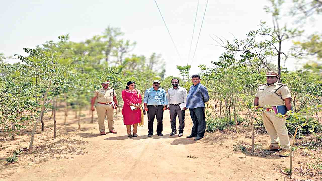 తెలంగాణలో అడవుల సంరక్షణ భేష్‌
