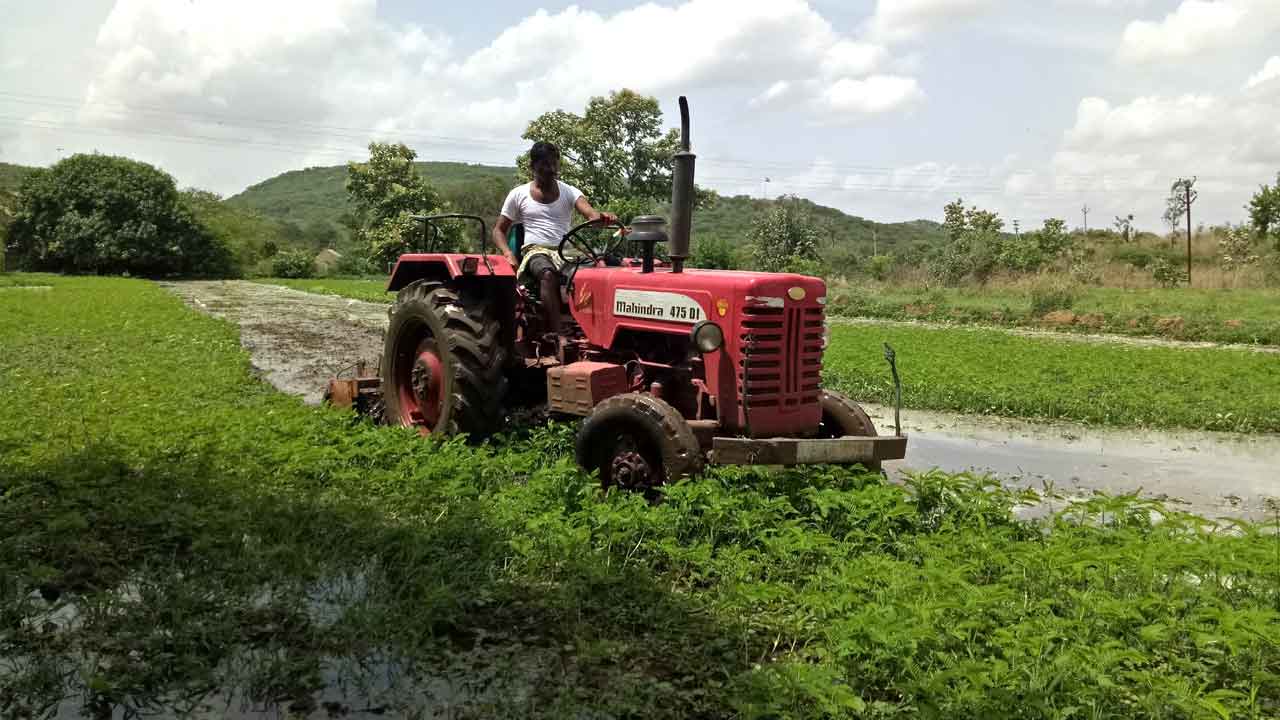 జీలుగ సాగుతో భూసారం