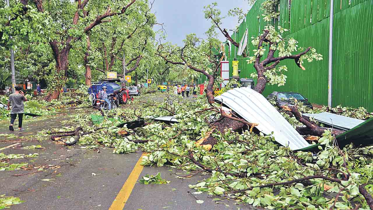 ఢిల్లీలో గాలివాన బీభత్సం