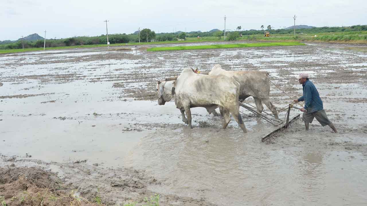 ‘పెట్టుబడి’కి సన్నద్ధం