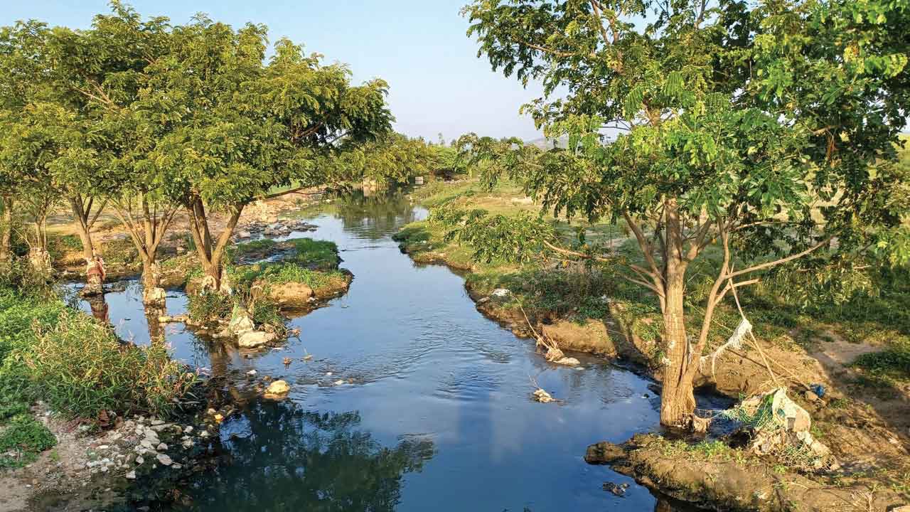 స్వచ్ఛ మానేరే లక్ష్యం