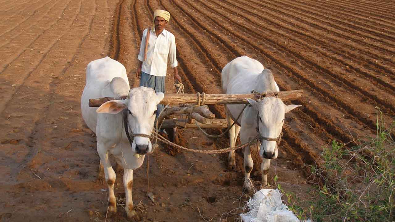 సాగుకు రైతన్న రెడీ