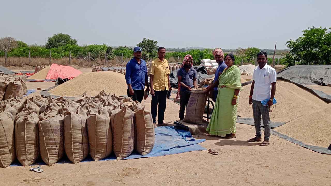 జోరుగా..