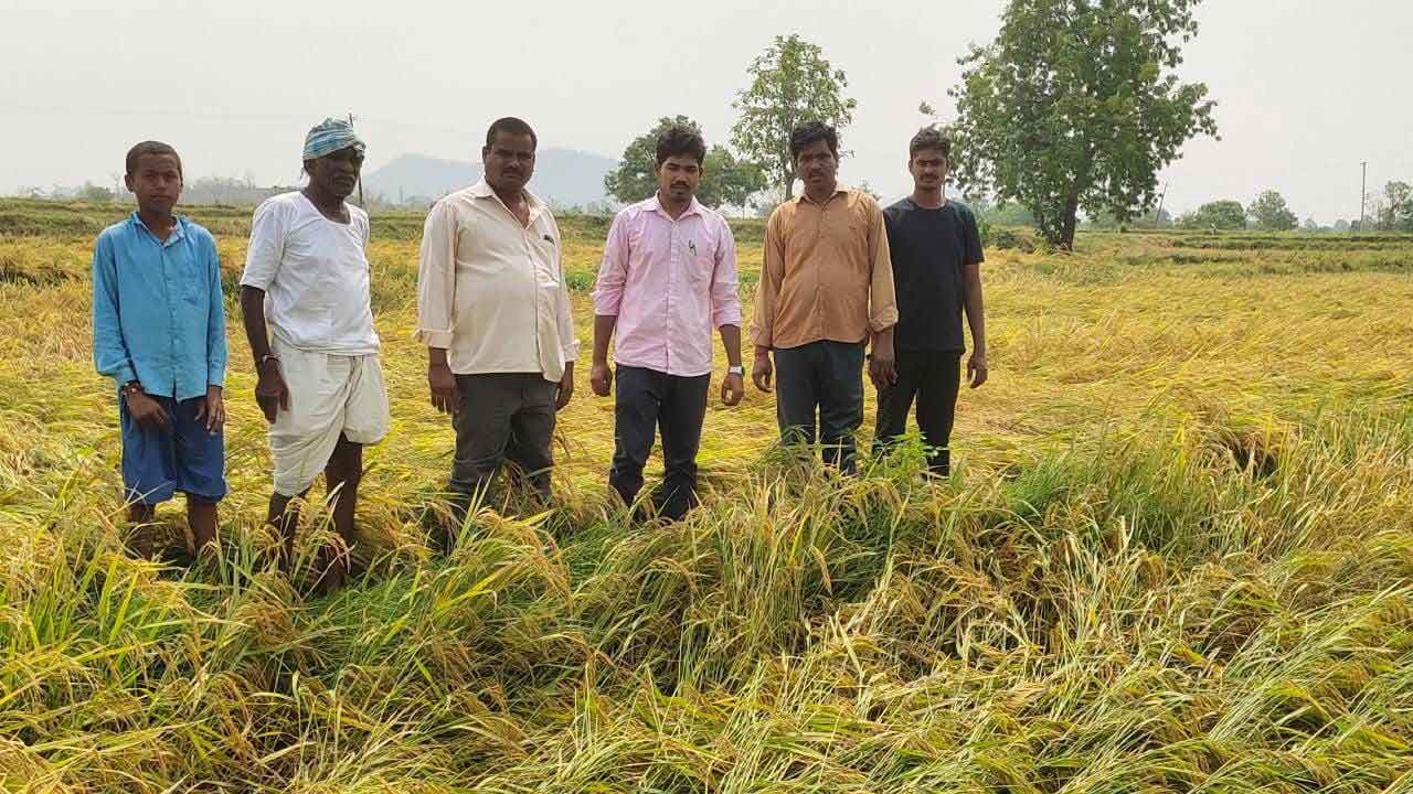 గాలివాన బీభత్సం