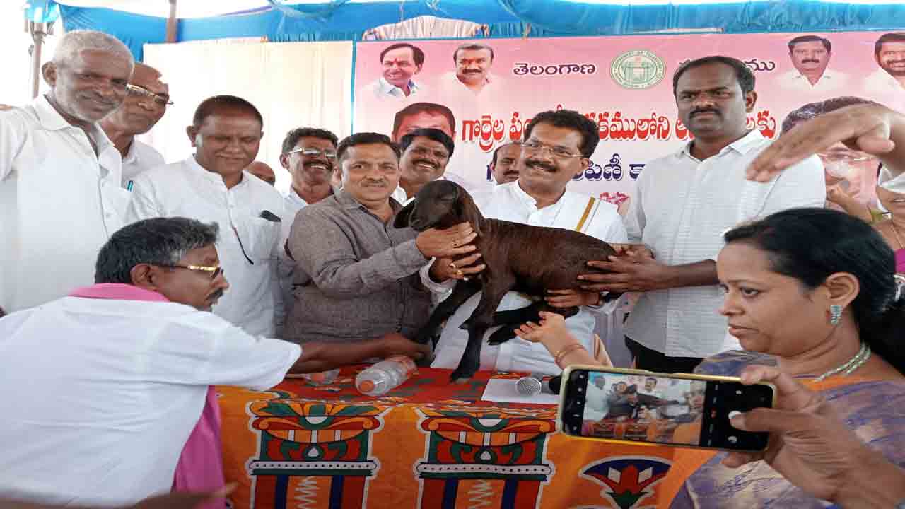 గొల్ల,కురుమలు ఆర్థికంగా ఎదగాలి