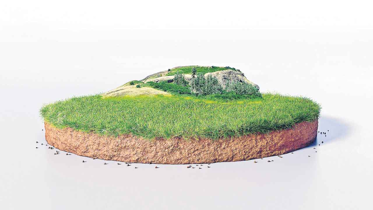 భూ సమస్యలకు చెక్