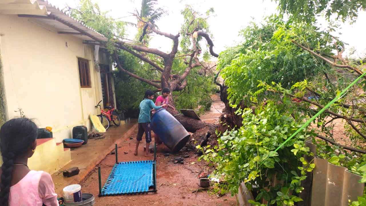 గాలివాన బీభత్సం