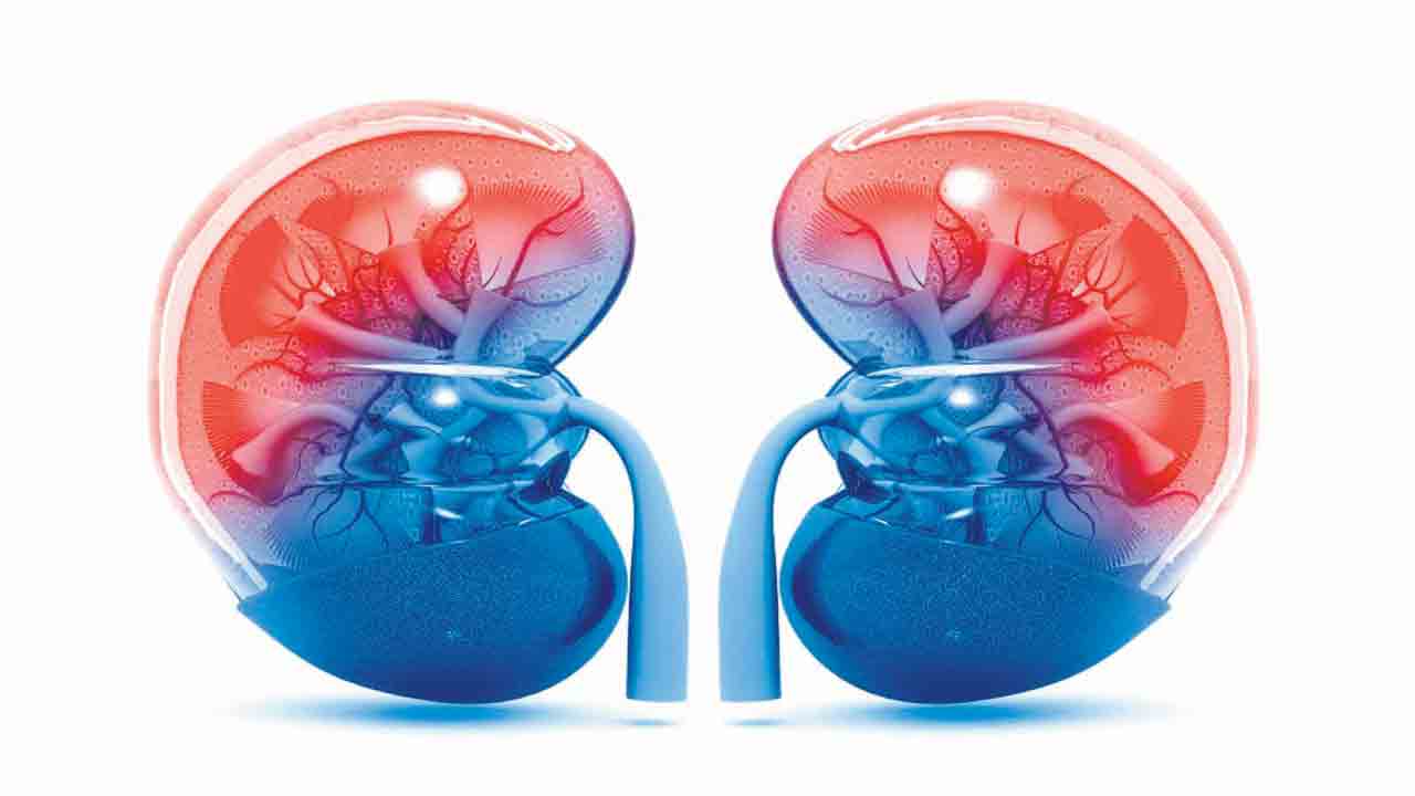 పేదలకు వరం రక్తశుద్ధి కేంద్రం