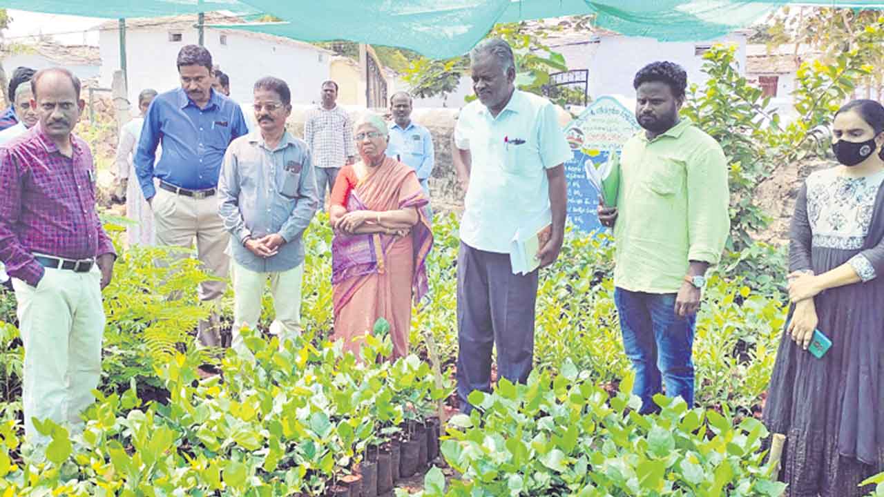 పనుల పురోగతిపై కేంద్ర బృందం ఆరా