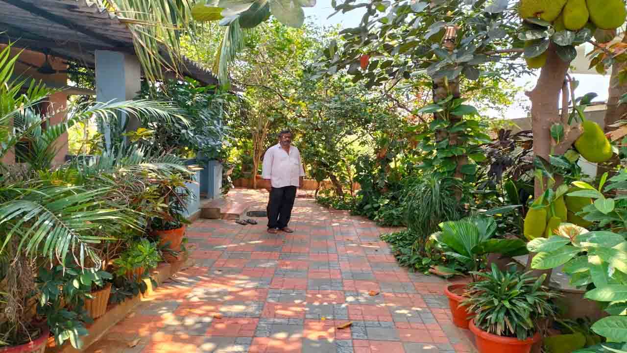 ఇంటి ఆవరణలోనే 200 రకాల మొక్కలు