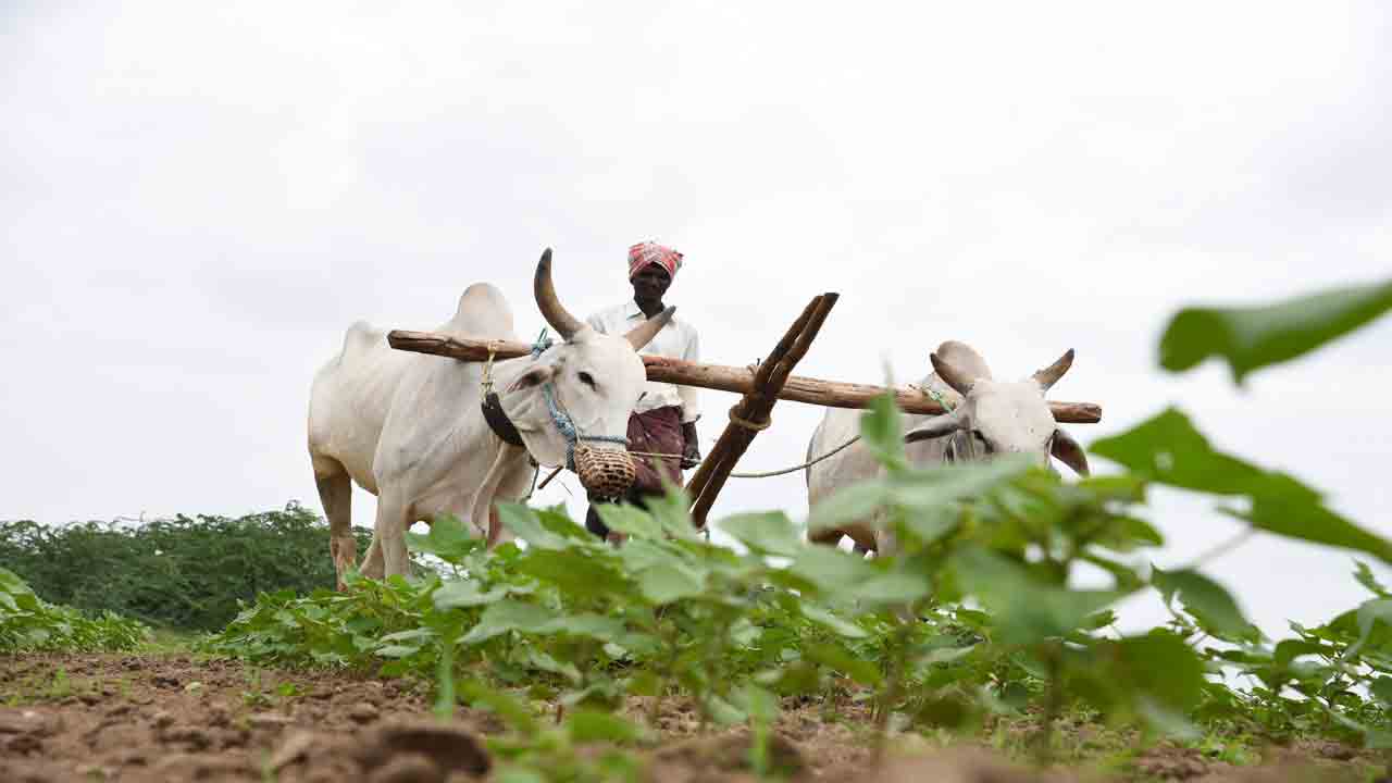 ఎదిగన ఎవుసం