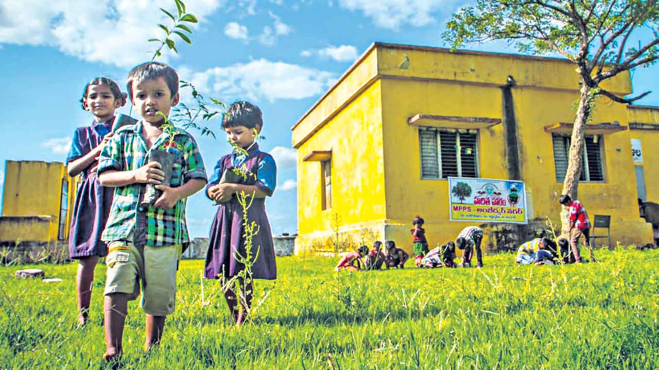 హరిత హారతి