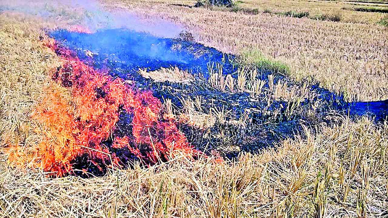కలియదున్నితే మేలు