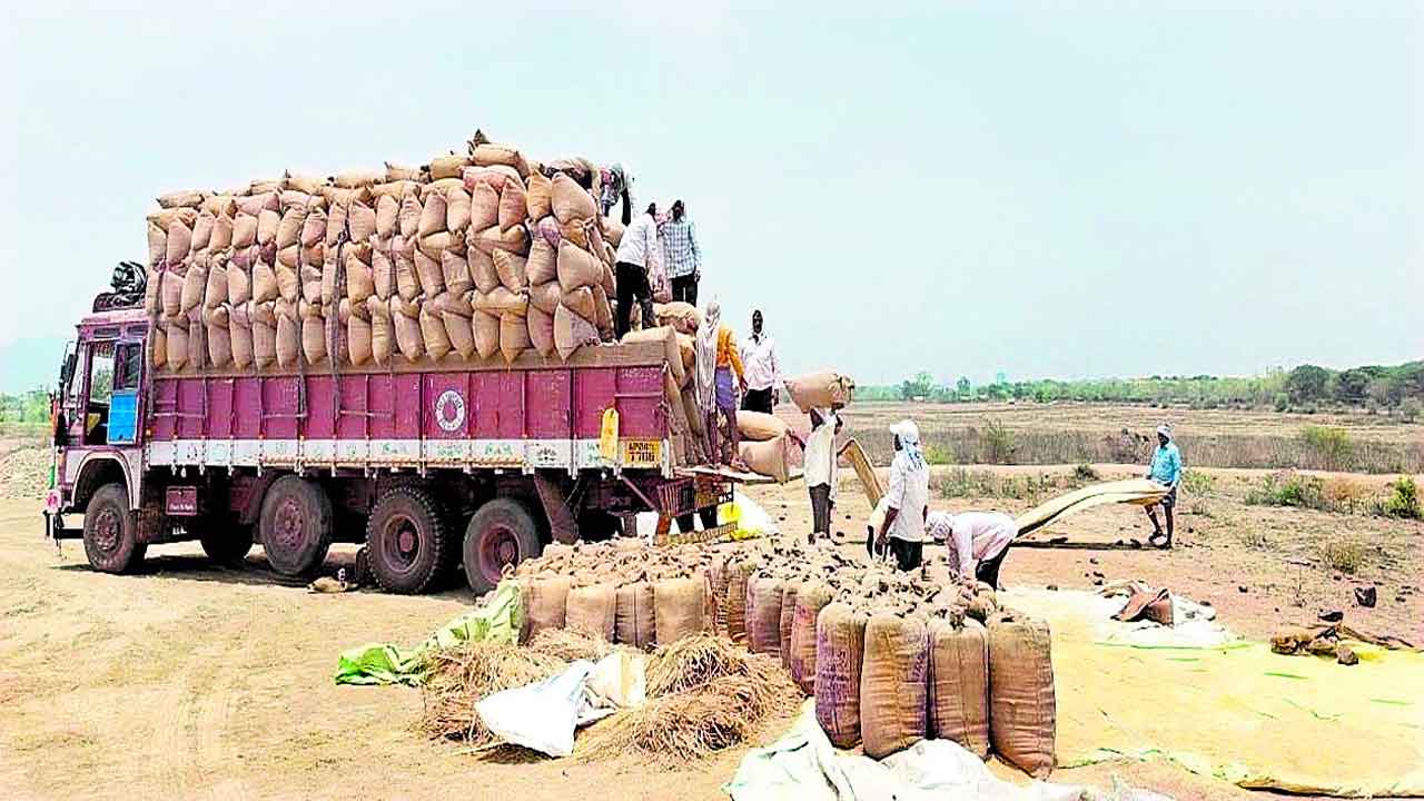 ఆనందంలో అన్నదాతలు