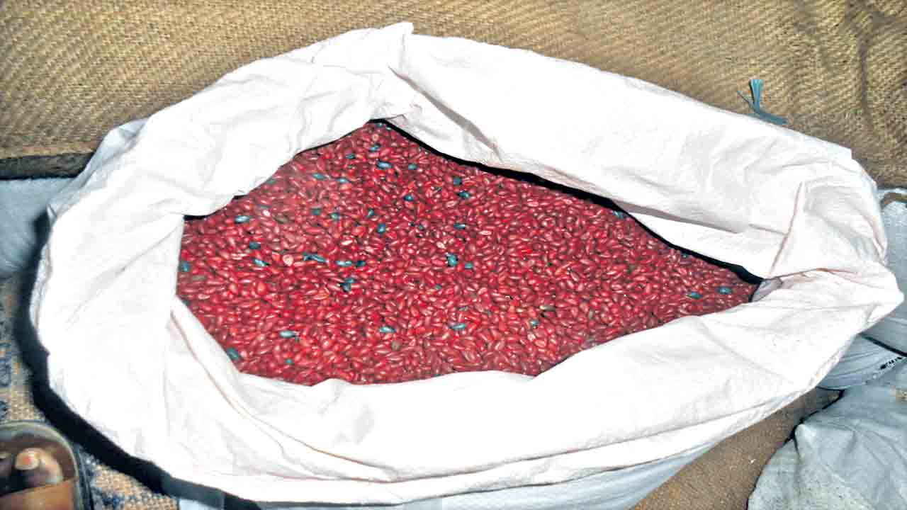 నకిలీ విత్తనాలను అరికట్టేందుకు ముందస్తు చర్యలు ముమ్మరం