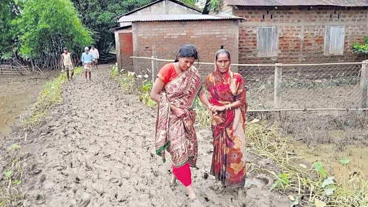 సిసలైన కలెక్టర్‌.. మన తెలంగాణ బంగారు తల్లి
