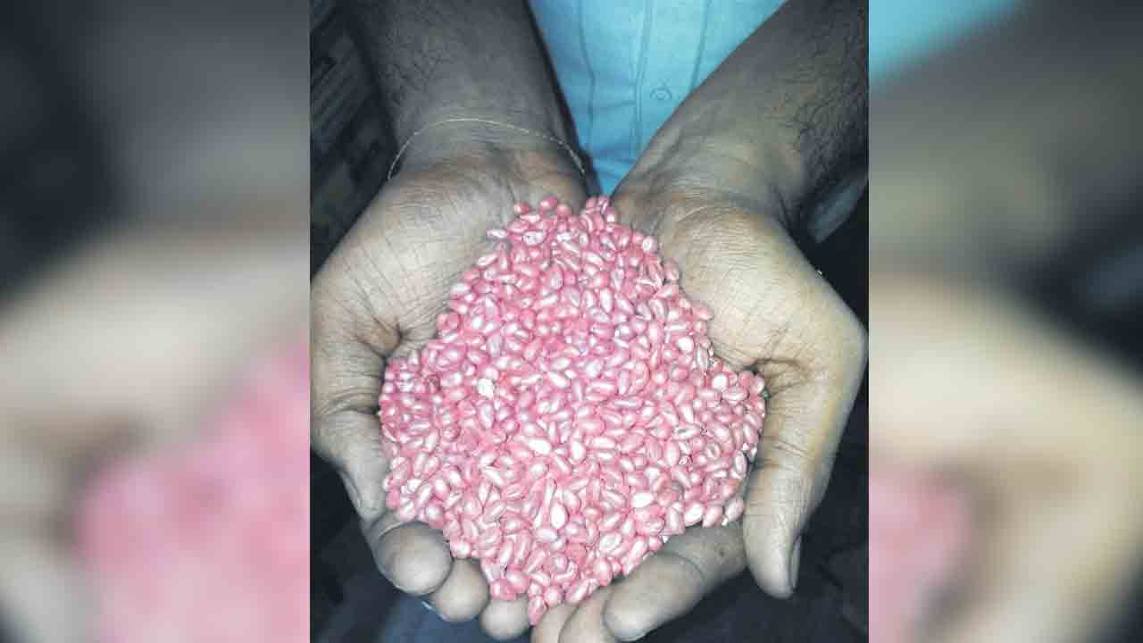 ఇక నకిలీకి చెక్