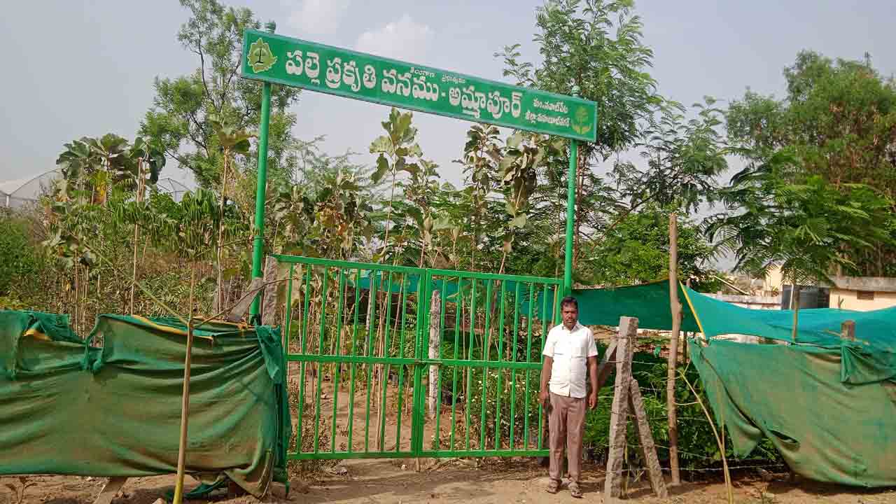 అభివృద్ధి పథంలో అమ్మాపూర్