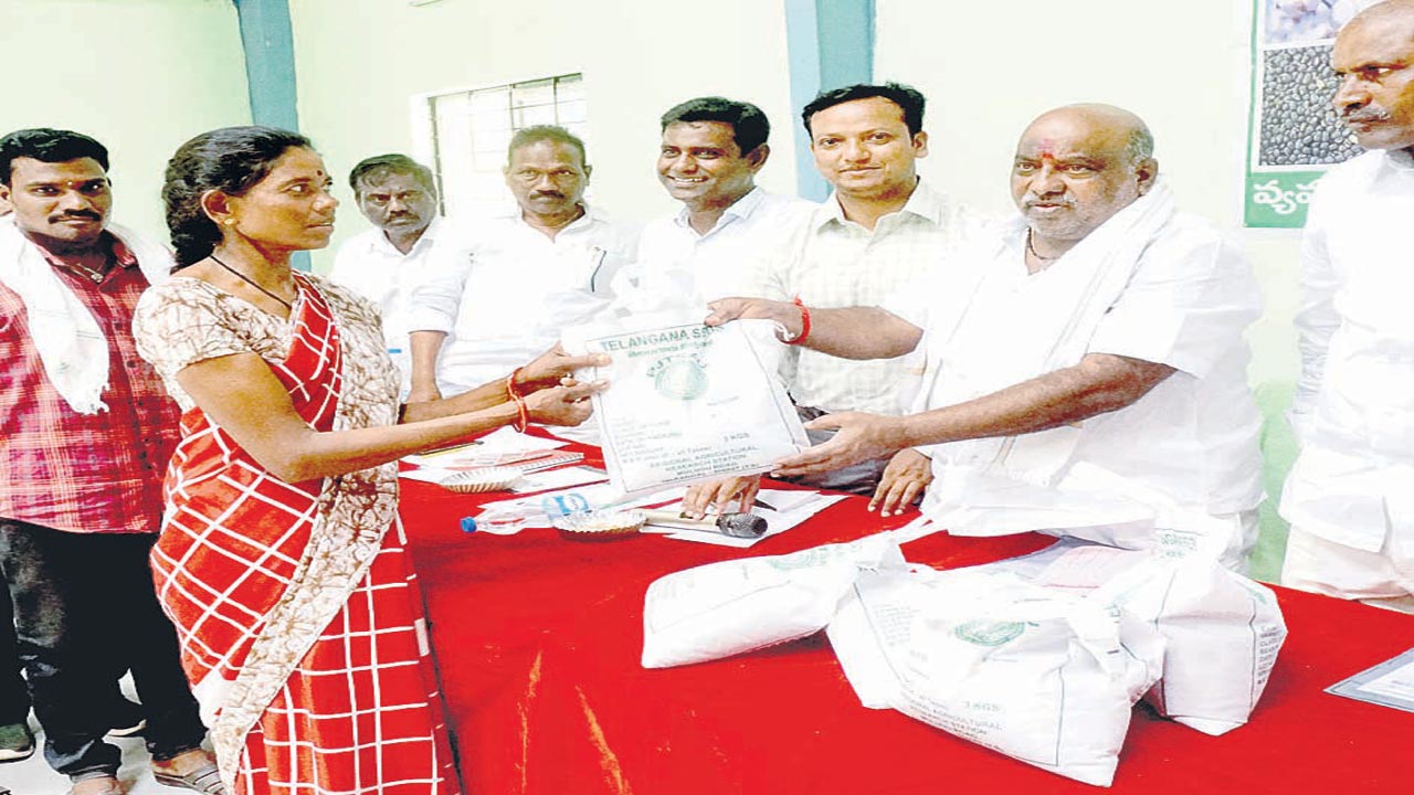 కొత్త వంగడాలు సృష్టించాలి