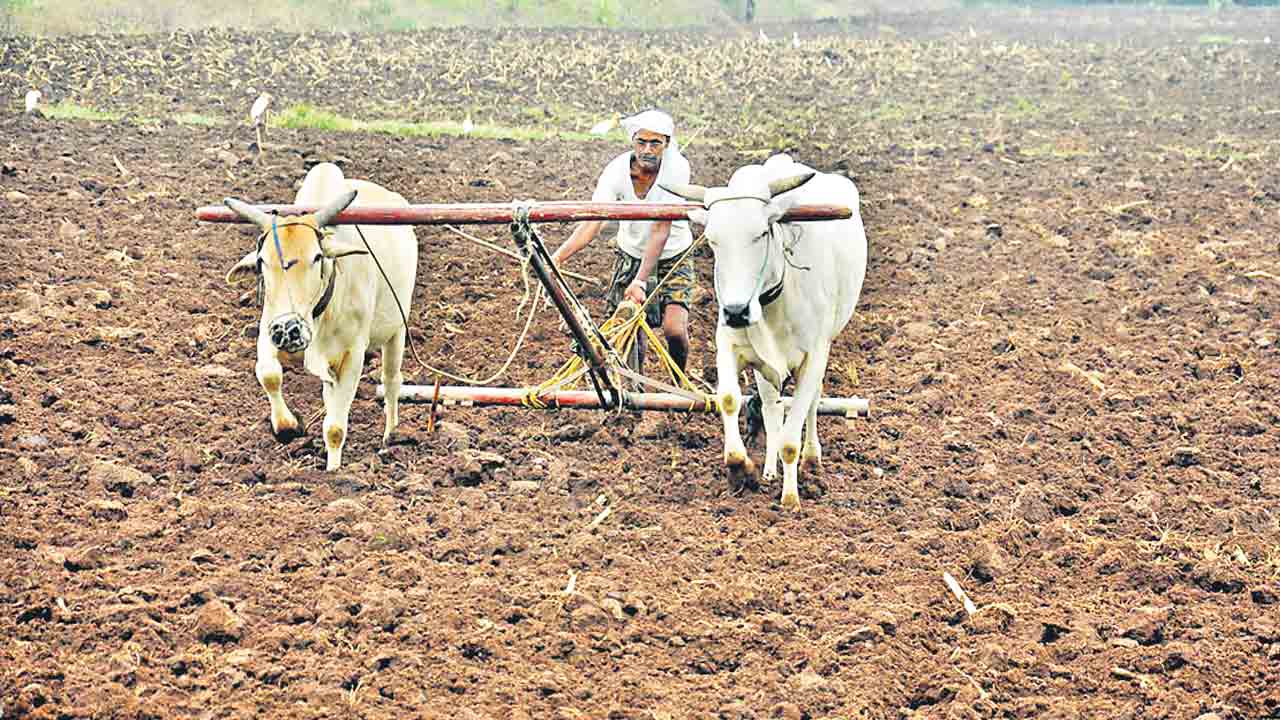 ఒకవైపు ఎండ… మరోవైపు వాన