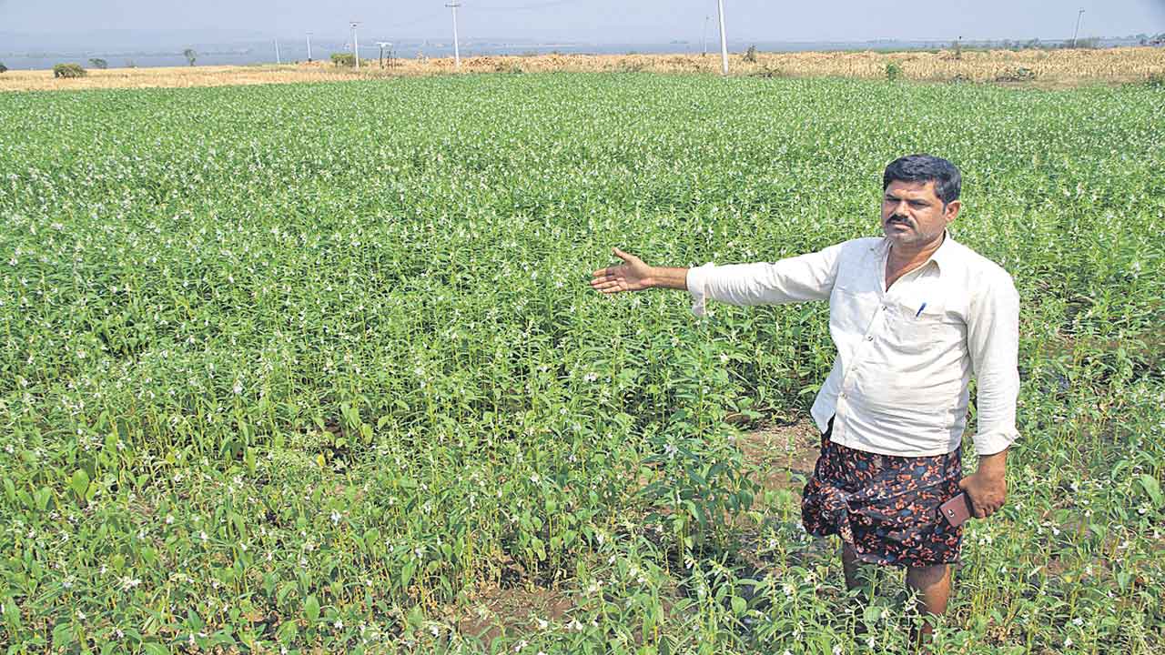 పొరుగంతా చిమ్మచీకటి తెలంగాణ వెలుగు దివిటీ