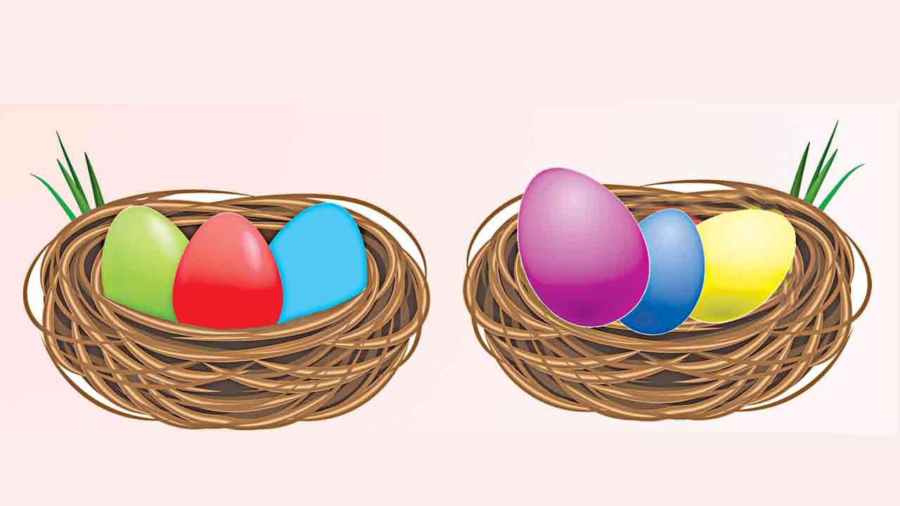 మల్టీక్యాప్‌ Vs ఫ్లెక్సీక్యాప్‌