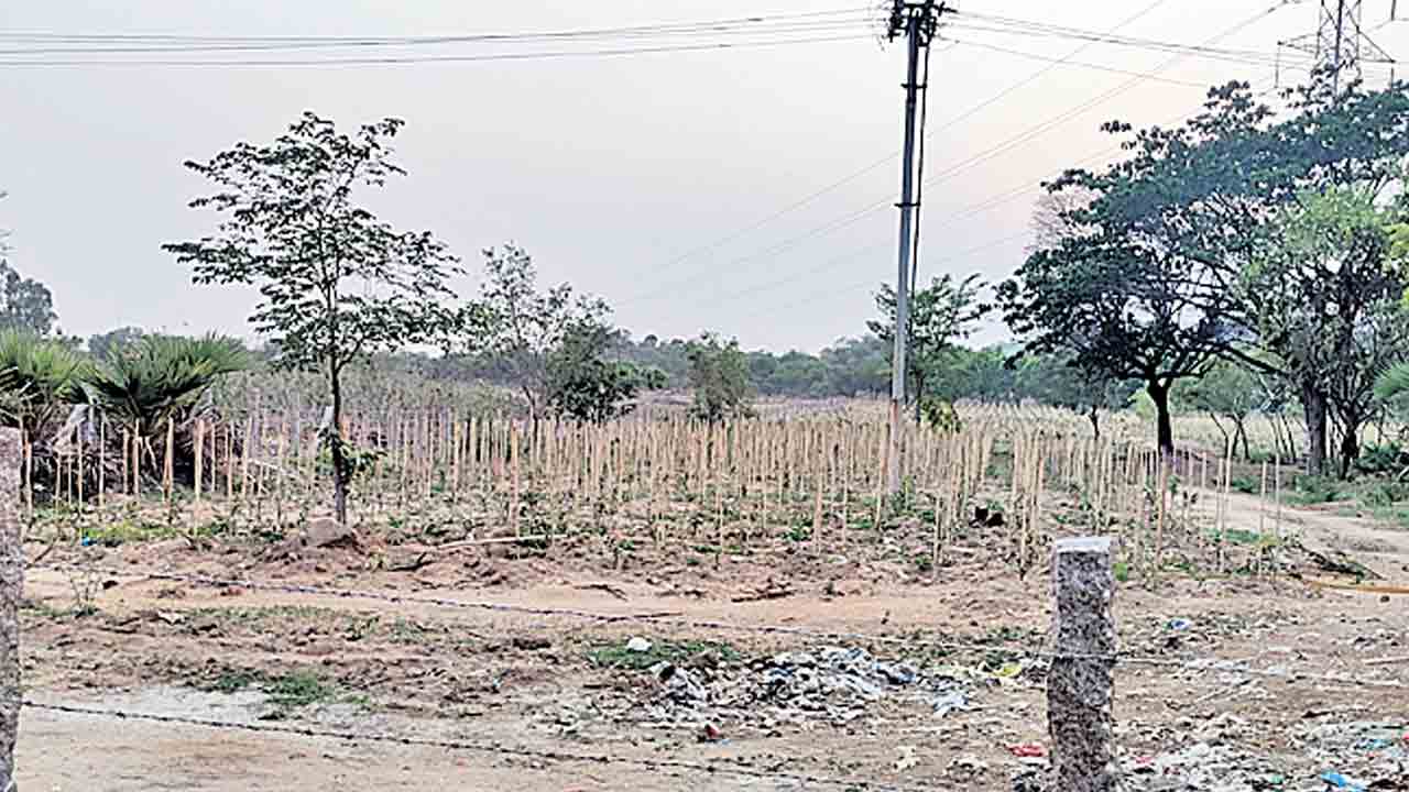 అడవుల సంరక్షణకు చర్యలు