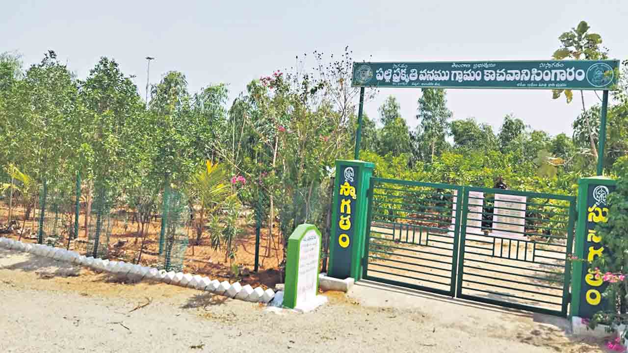 ఈ సారి లక్ష్యం.. 63 లక్షల మొక్కలు