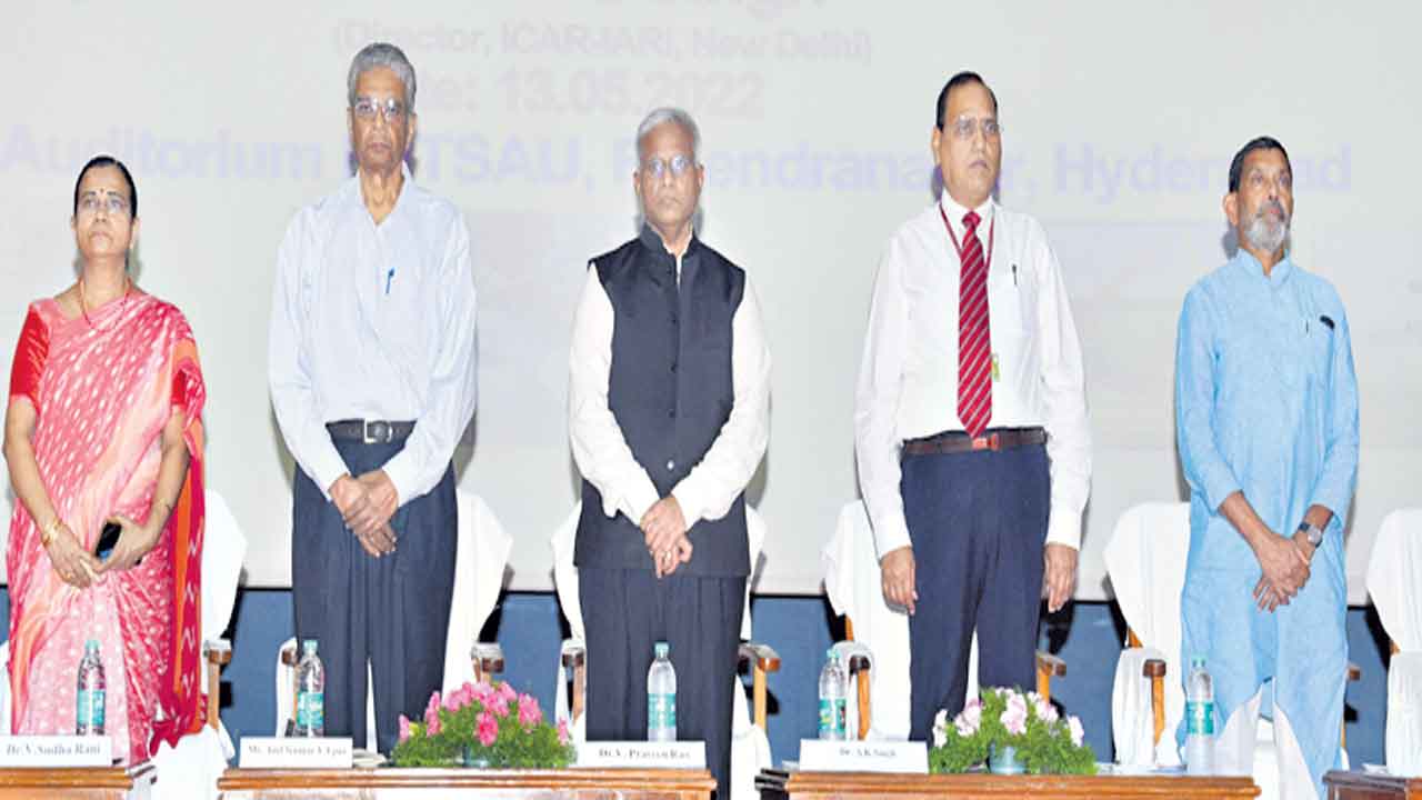 వాతావరణ మార్పులతో సాగులో ఆటుపోట్లు