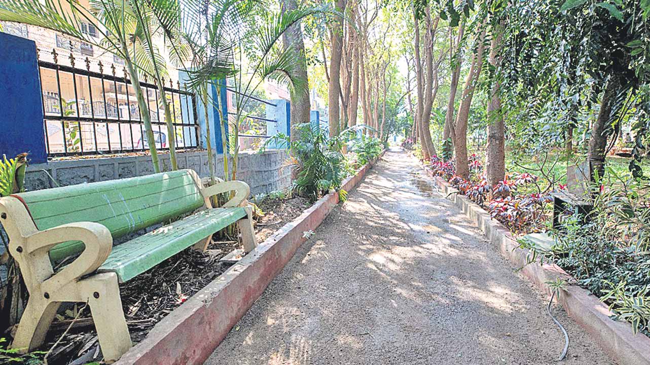 వనం పూసింది..శివారు మురిసింది