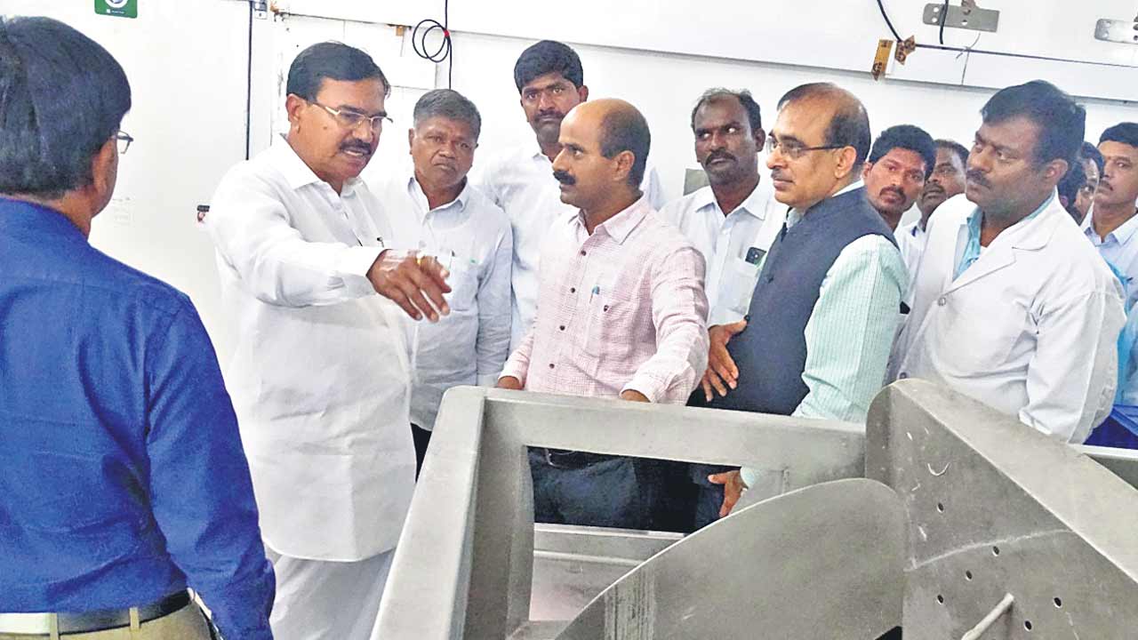 సాగులో ఉత్పాదకత పెంచాలి